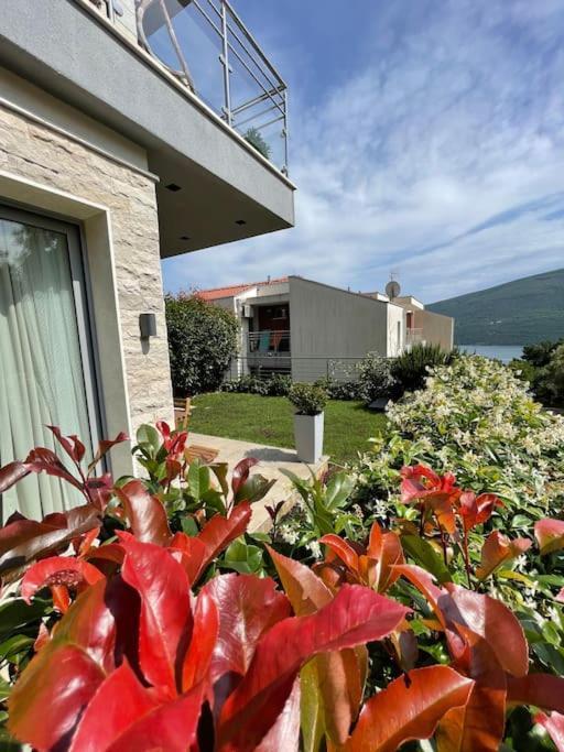 Acacia Hill Apartments Herceg Novi Kültér fotó