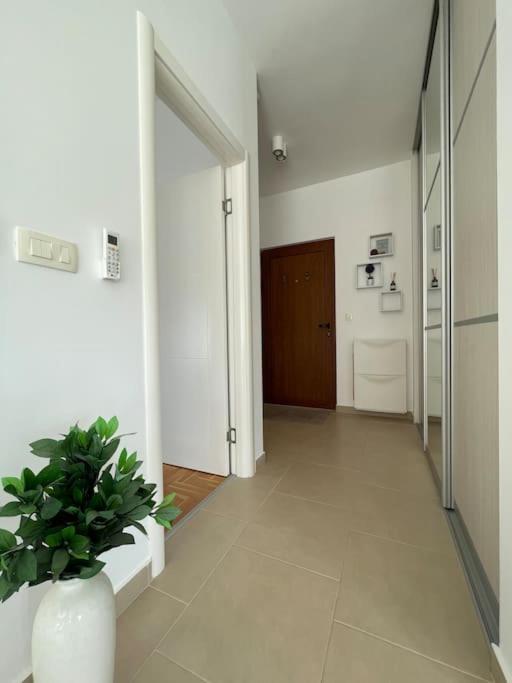 Acacia Hill Apartments Herceg Novi Kültér fotó
