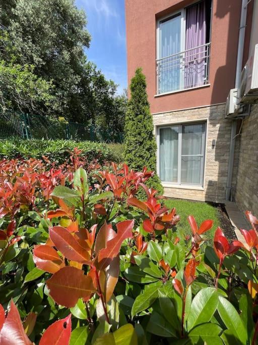 Acacia Hill Apartments Herceg Novi Kültér fotó